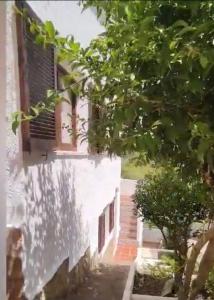 Casa Elvira Planta Baja