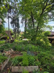 Maisons de vacances Le temps des cigognes : photos des chambres