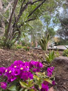 Beachhouse Casa del Mare Sardegna img19