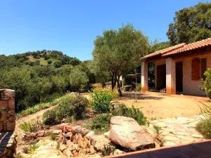 Authentique maison corse entre mer et maquis - Zonza