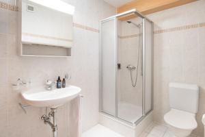 Appartement Les Patineurs