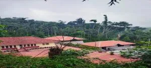 Rushika Homestay Chikmagalur - Avathi