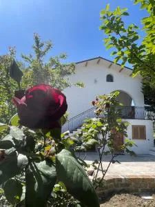 GArt House Holiday Home - Scafa