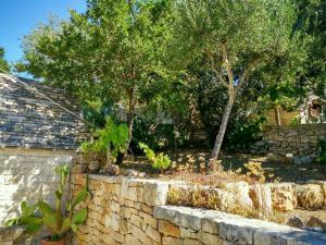Panoramic Trullo di Michele
