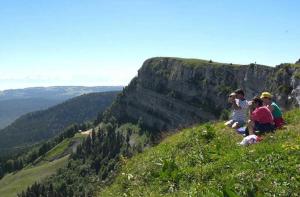 Campings Chalet 3 etoiles - Piscine - ccbbbdd : photos des chambres