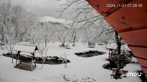 La Pescaria lui Nelu