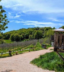 Maisons de vacances Les hauts de Vayrac : Maison 3 Chambres 