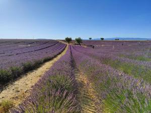 Maisons de vacances Mazet du soleil : photos des chambres
