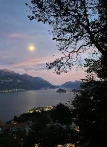 Landscapesilvia Acqua - Plesio