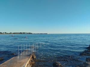 Studio Apartman Runko