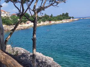 Fefe Apartment with Sea view