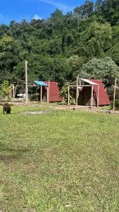 Vale do Rio Bonito Glamping - Caraa