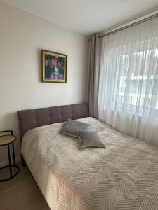 Forest & Sea Apartment Palanga