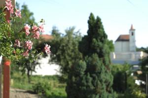 Panoráma Apartmanház