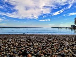 Lone Pine Oceanfront Cottage - Steuben