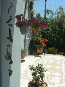 Silvi Mari Apartments Rethymno Greece