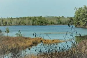 Somes Pond Island Cottage - Somesville