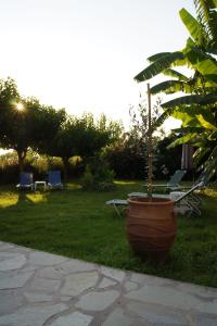 Silvi Mari Apartments Rethymno Greece