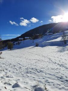 Appartements Appartement Reallon 5 personnes en rez de jardin : photos des chambres