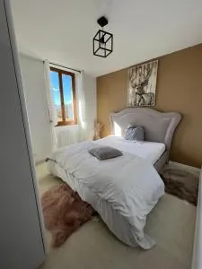 Appartement T3 portes d'Annecy Sauna - Chavanod