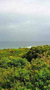 5 Equaleni Holiday House