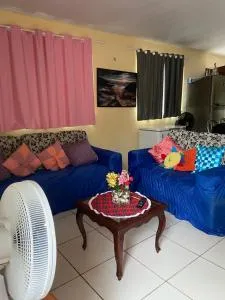 Sitio liu Looijs - Belém