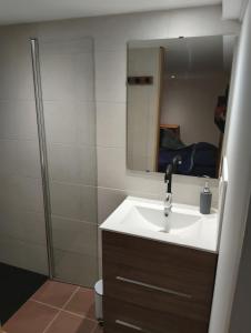 Appartements Annexe du 18 : Appartement 1 Chambre