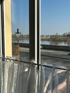 Ambiente-an-der-Elbe-Wohnung-EG