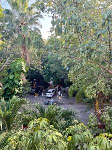 Tropical Escape on 38