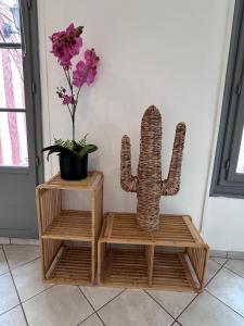 Appartements Le Cocon Fleuri : photos des chambres