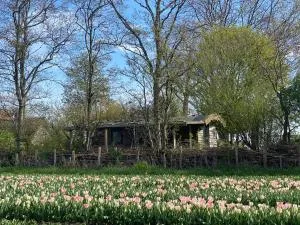 De Verborgen Pracht - Haringhuizen