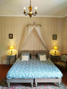 Château de Bellevue