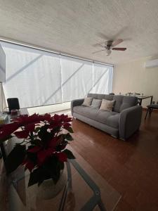 Morelos 67 Apartment