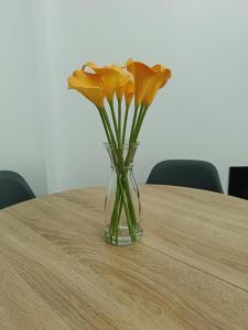 Acogedor apartamento A