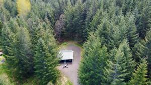 Enchanting Private Forest Retreat near Mt Rainier