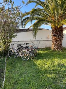 La maison des courlis