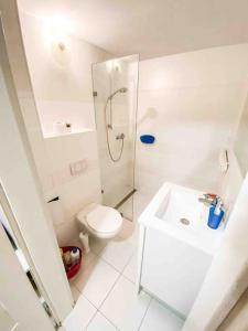 Comfortable Apartment