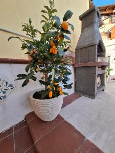 La terrazza di Annina