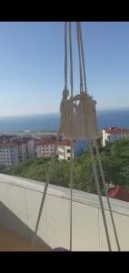 Bahar apart - Zafanos