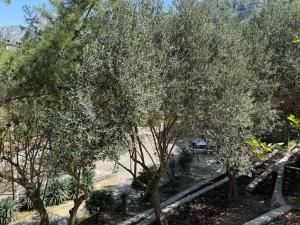 Midpoint See and Sun