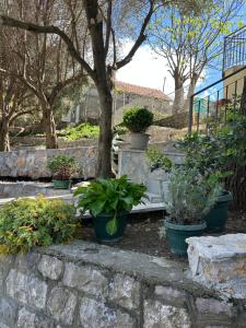 Midpoint See and Sun