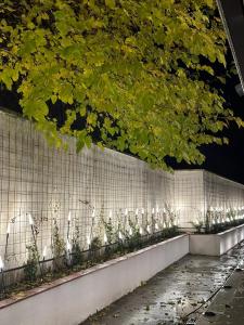 The Roots Boutique Hotel