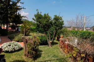 VILLA VISCALORI A garden with pool and see view near Etna