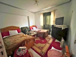 Gadou Rooms - Private Rooms & Shared Apartments in Prime Port Said Location