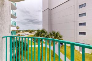 Plantation Palms #6301