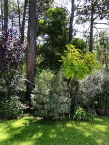 Blau Marí -la casa-