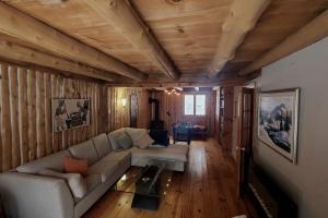 Détente au coeur de la forêt