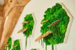 WOOD WORLD Luxury - Massage - Bergblick - Tranpolin- Parken