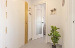 Awesome Apartment In Torrevieja