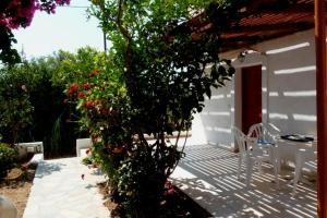 Sophis L Studios & Apartments